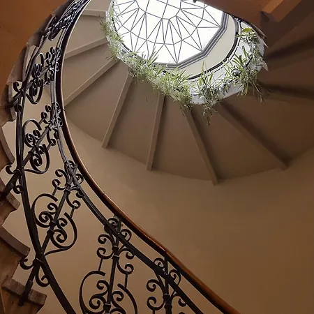 Róży Apartamento *