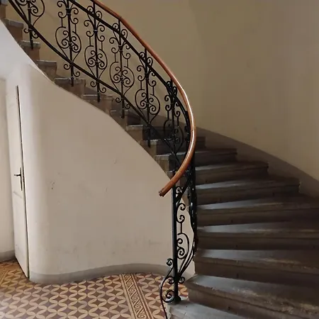 Rozy * Krakau
